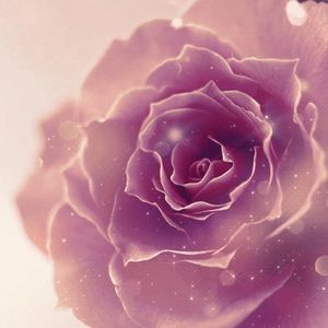 Meet your Posher, Marie